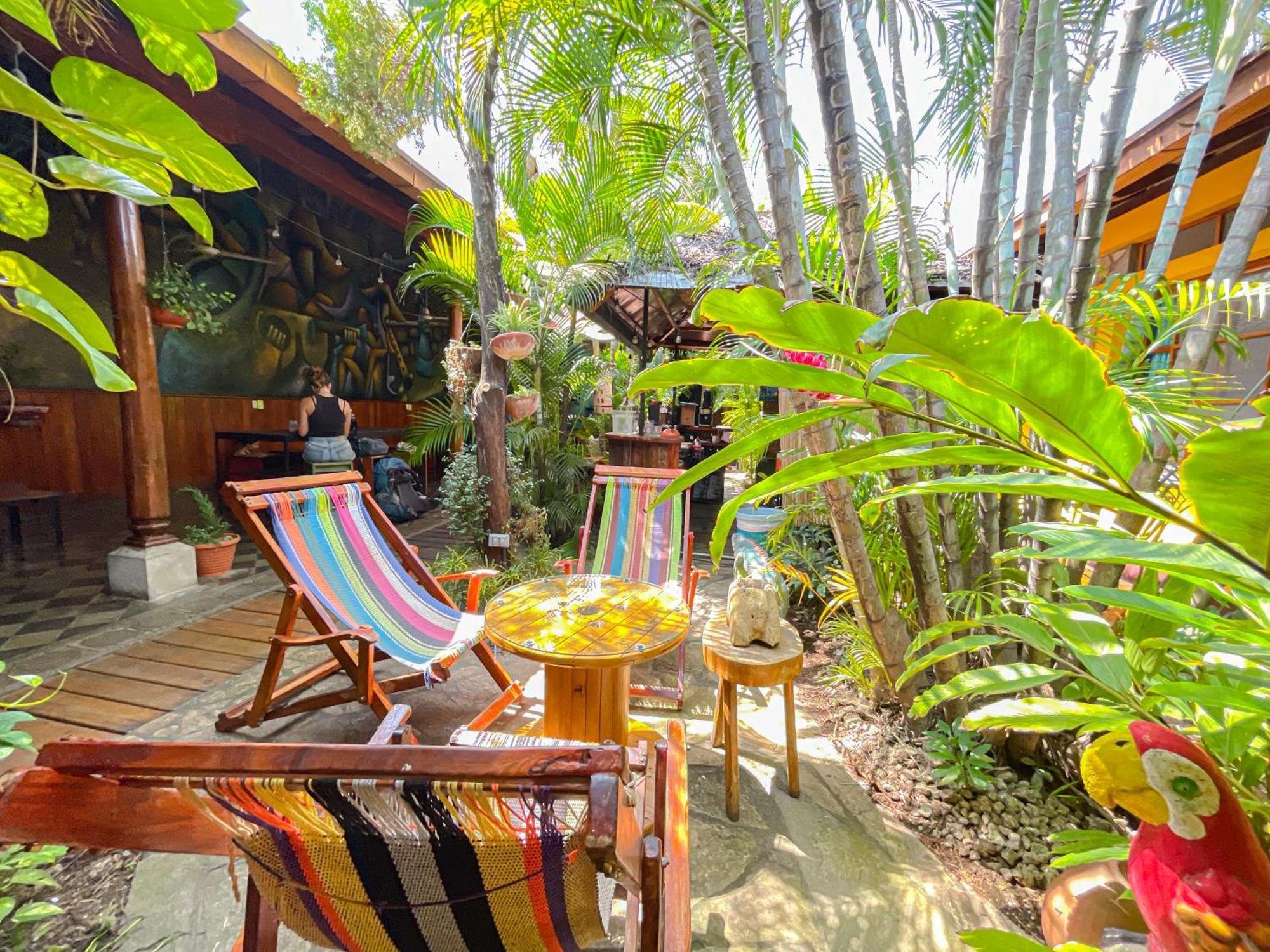 Oasis