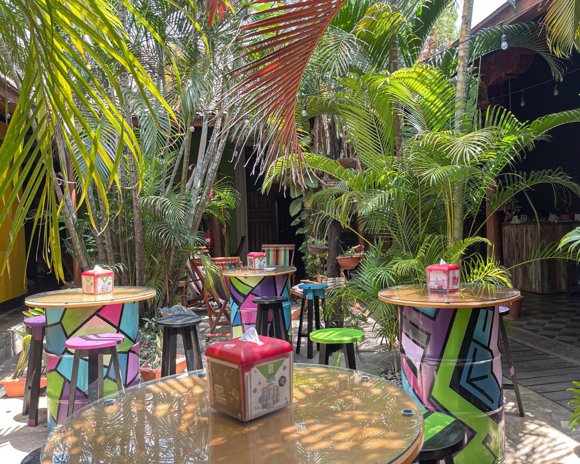 Auberge de jeunesse Oasis *